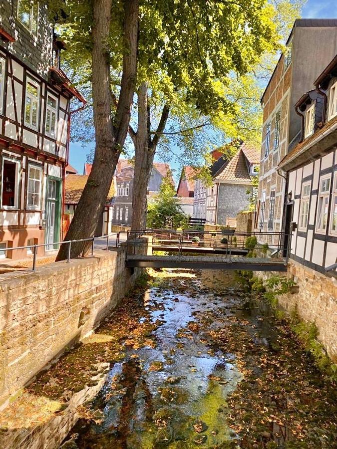 Ferienhaus Zur Abzuchtinsel Goslar Eksteriør billede